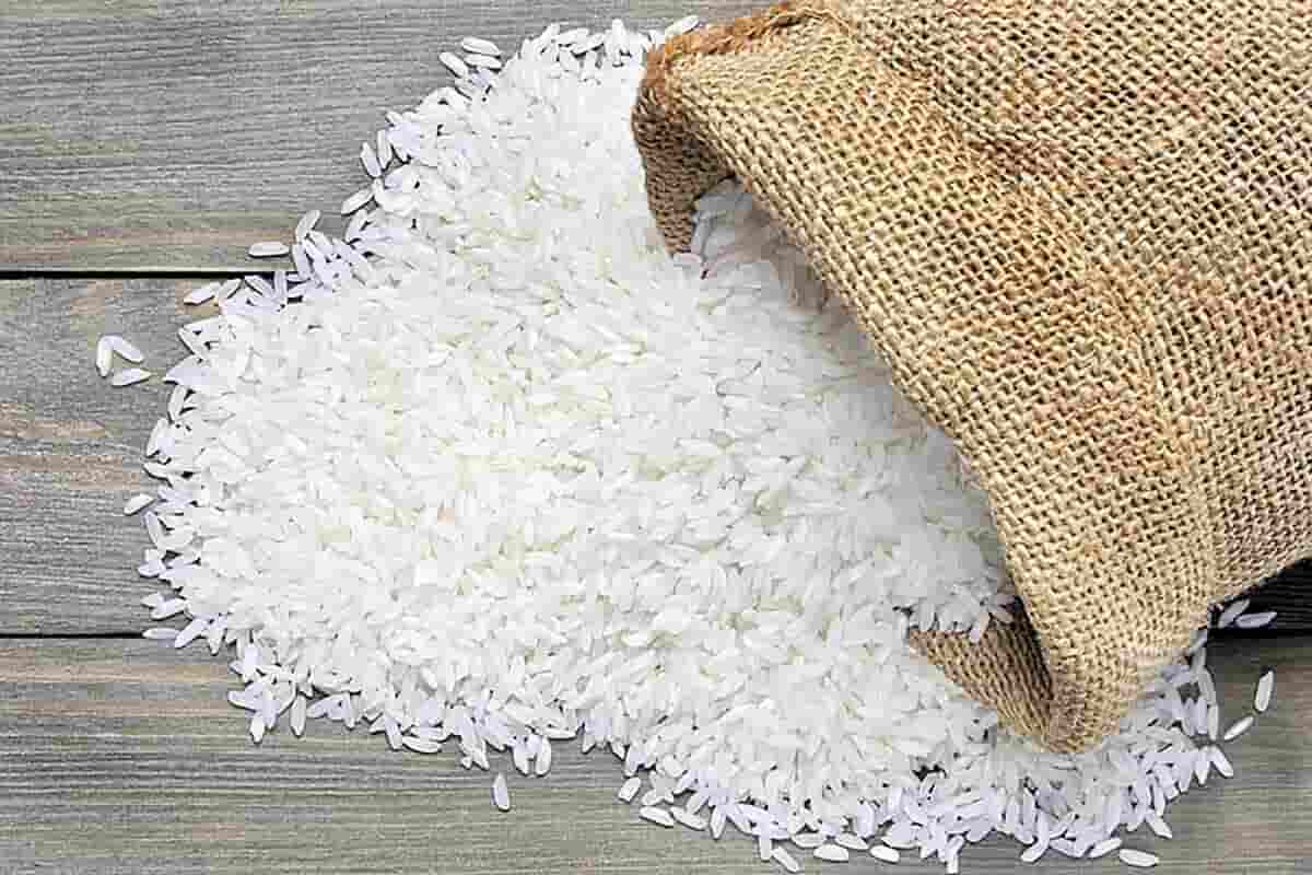 قیمت خرید برنج اعلا شمال + فروش ویژه